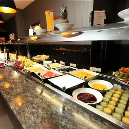都柏林阿什林酒店 酒店 都柏林